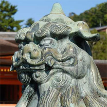 Skyline Dojo Gallery Image