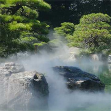 Skyline Dojo Gallery Image