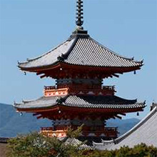 Skyline Dojo Gallery Image